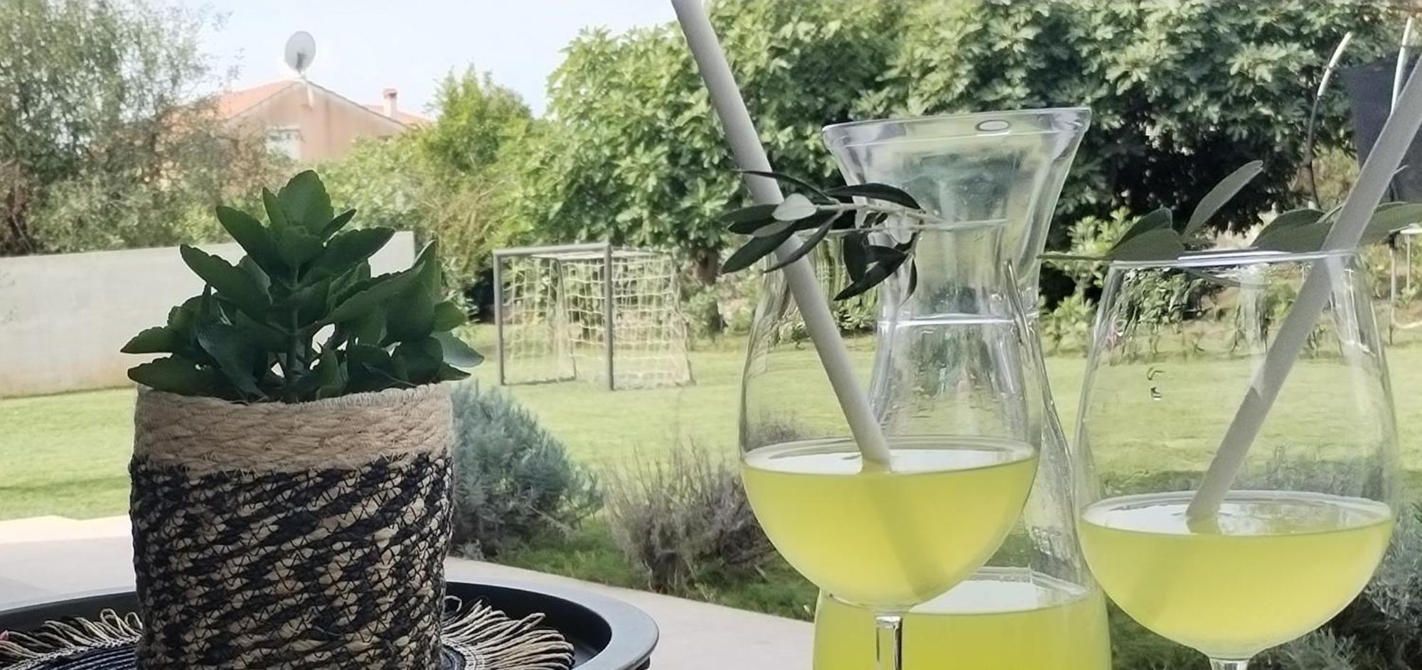 Villa Ulika Fažana Kültér fotó